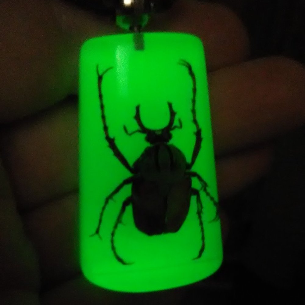 Hand Crafted 2" Glow In the Dark Beetle Necklace